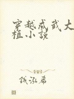 穿越成武大郎武植小说