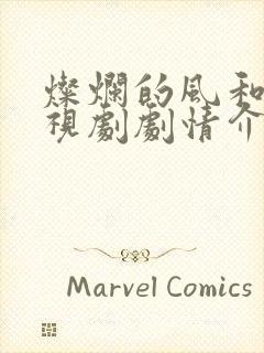 灿烂的风和海电视剧剧情介绍