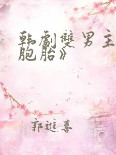 韩剧双男主《双胞胎》