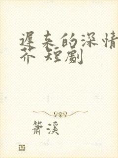 迟来的深情如草芥 短剧