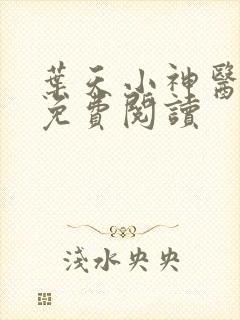 叶天小神医小说免费阅读