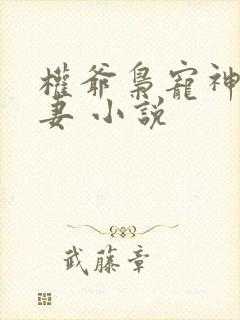 权爷枭宠神秘娇妻 小说