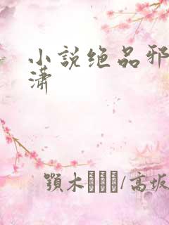 小说绝品邪少叶潇