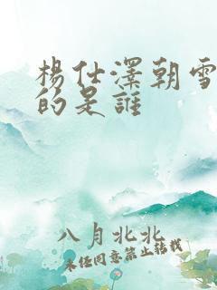 杨仕泽朝雪录演的是谁