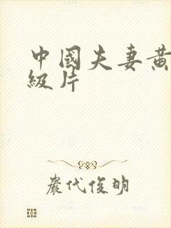 中国夫妻黄色一级片