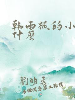 韩雨枫的小说叫什么