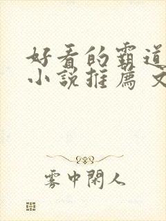 好看的霸道总裁小说推荐 文笔好