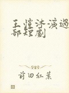 王恺沐演过的全部短剧