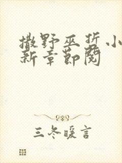 撒野巫哲小说最新章节阅