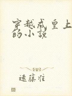 穿越成皇上替身的小说