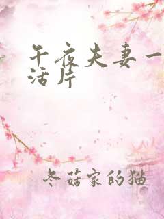 午夜夫妻一级生活片