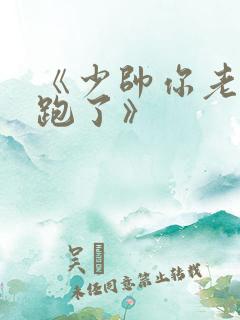 《少帅你老婆又跑了》