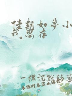 佳期如梦小说匪我思存