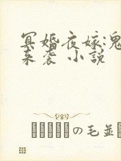 冥婚夜嫁:鬼夫来袭 小说