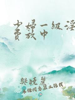 少妇一级淫片免费放中