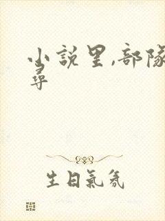 小说里,部队搜寻