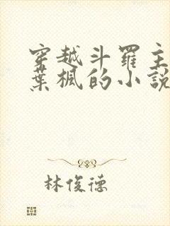 穿越斗罗主角是叶枫的小说