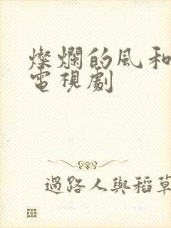 灿烂的风和海 电视剧