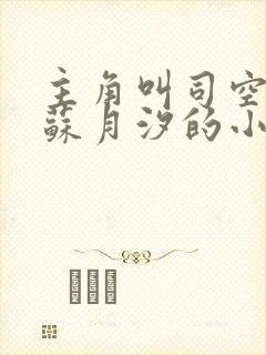 主角叫司空靖,苏月汐的小说《狂兽战神》