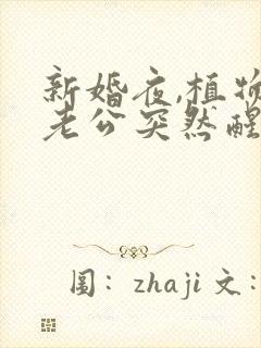 新婚夜,植物人老公突然醒了 江月初照