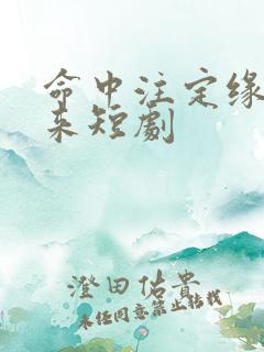 命中注定缘分归来短剧