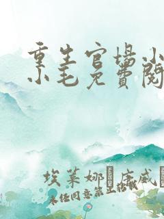 重生官场小说陈小毛免费阅读