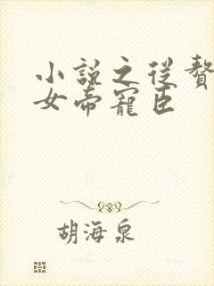 小说之从赘婿到女帝宠臣