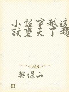 小说穿越这大宋该变天了赵桓在线阅读