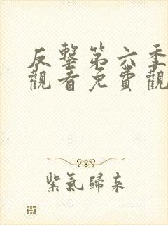 反击第六季在线观看免费观看完整版