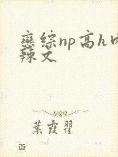 恋综np高h肉辣文