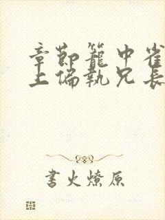 章节笼中雀:惹上偏执兄长逃不掉