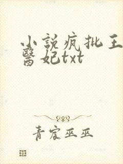 小说疯批王爷神医妃txt