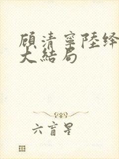 顾清宁陆绎后续大结局