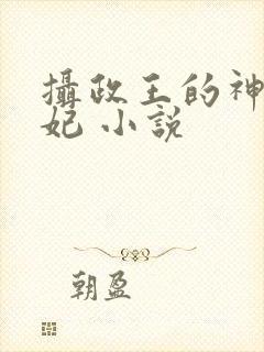 摄政王的神医毒妃 小说