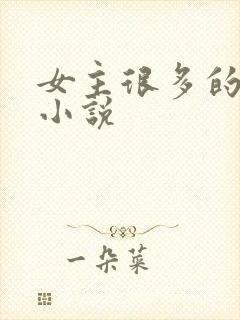 女主很多的玄幻小说