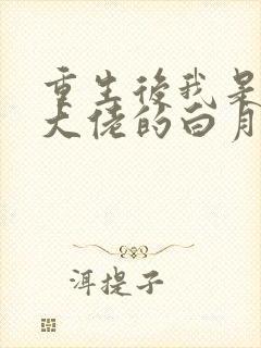 重生后我是所有大佬的白月光小说