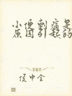 小便刺痛是什么原因引起的?