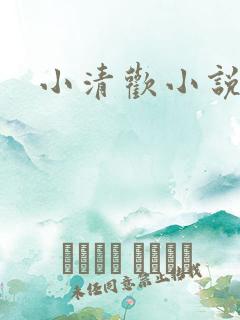 小清欢小说番外