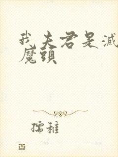 我夫君是灭世大魔头