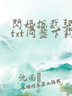 闪婚总裁契约妻txt网盘下载