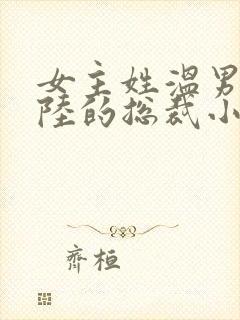 女主姓温男主姓陆的总裁小说