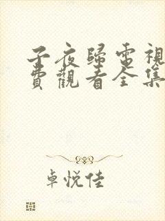 子夜归电视剧免费观看全集高清28