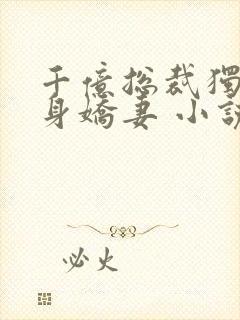 千亿总裁独宠替身娇妻 小说