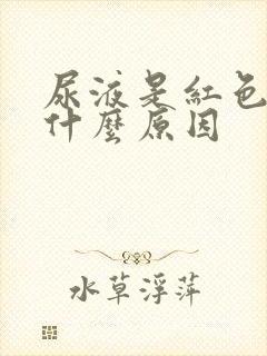 尿液是红色的是什么原因