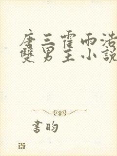 唐三霍雨浩cp双男主小说