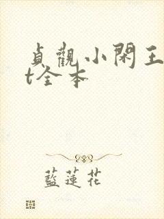 贞观小闲王txt全本