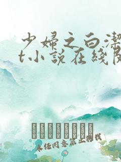 少妇之白洁txt小说在线阅读