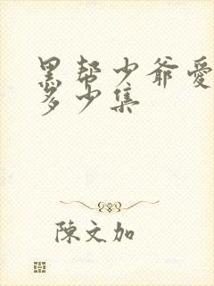 黑帮少爷爱上我多少集