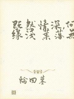 既然情深,何惧缘浅 叶落无心