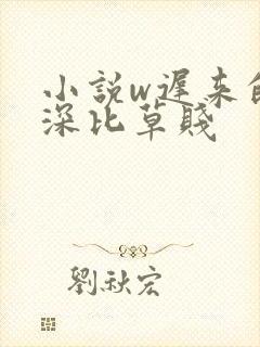 小说w迟来的情深比草贱